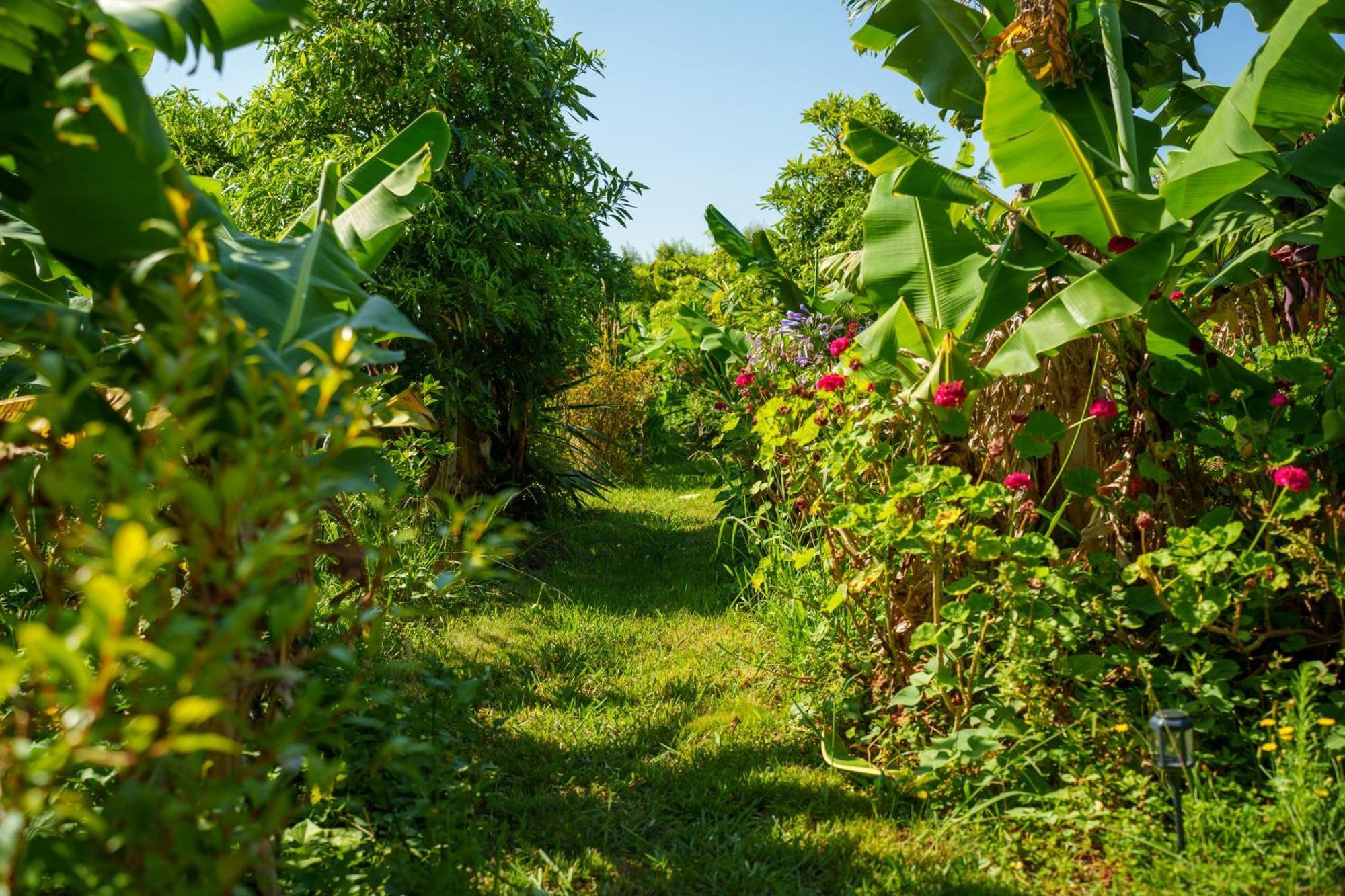 Bed and Breakfast The Plantation Faial Feteira  Exterior foto